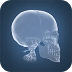 Logo of Anatomy 4D android Application 