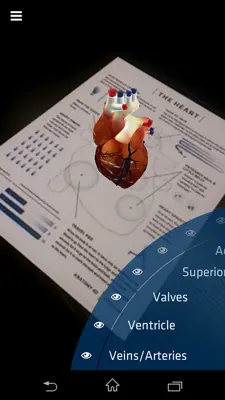 Anatomy 4D android App screenshot 2